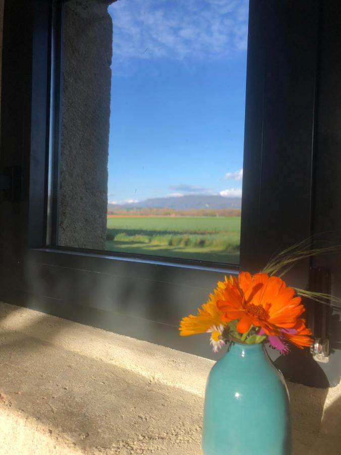Appartamento L'Atelier Grane Esterno foto